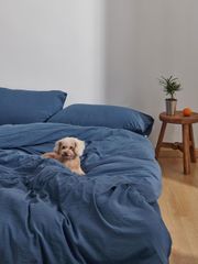 Item thumbnail for item 5161390b-97da-4d16-8662-731e61bae1cf