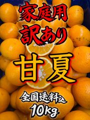 幻のみかん 紀州大坊みかん 秀品 3kg みかんキング - メルカリ
