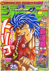 集英社 週刊少年ジャンプ 2008年(平成20年)25 島袋光年「トリコ」新連載