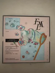 断捨離出品) SEVENTEEN(セブンティーン・セブチ) FML CARAT盤 ドギョム