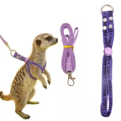 うさぎ ハーネスリードセット 小動物用 ハーネスリードセット ソフト スモールペット フェレット ミーアキャット テン チンチラ リス ウサギ プレーリードッグ 子猫 お散歩 リード 紛失防止 サイズ調節可能 お出かけ用 1年中使いやすい パーブルのサムネイル