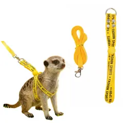 うさぎ ハーネスリードセット 小動物用 ハーネスリードセット ソフト スモールペット フェレット ミーアキャット テン チンチラ リス ウサギ プレーリードッグ 子猫 お散歩 リード 紛失防止 サイズ調節可能 お出かけ用 1年中使いやすい　イエローのサムネイル