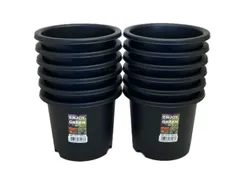 アガベにいい鉢 ４号 １２個セット    多肉植物、ミニ観葉に