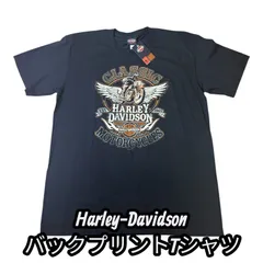 【USA製】HARLEY-DAVIDSON  LACONIA Tee 2XL