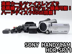 フルハイビジョン録画可能！SONY ビデオカメラ HDR-SR11 01 SONY ビデオカメラ Handycam HDR-SR11 デジタルハイビジョン
