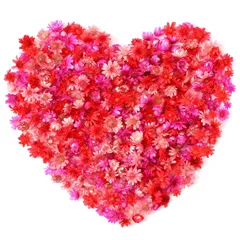 レッド パーツ ホログラム 花材 ドライフラワー 373-4857 ドライフラワー ドライフラワー レジン 乾燥シート 押し花 400個入り レジン用