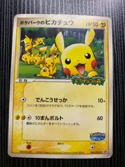 2026年最新】ポケモンカード ポケパークのピカチュウ 043/pcg-pの人気