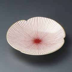 超メル市価格 紅花トキワマンサク 玉造り 高さ幅60cm 紅花常磐満作 