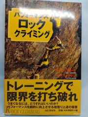 ドラッグオンドラグーン3 販促ポスター B2 DOD3 藤坂公彦 ヨコオタロウ