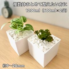 鉢カバー　観葉植物（アクタス好き　グリーンのある暮らし 冬管理 鉢カバー 観葉植物（アクタス好き グリーンのある暮らし 冬管理 - メルカリ