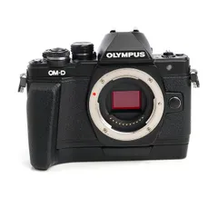 2026年最新】Olympus OM-D E-M10 Mark III ボディの人気アイテム