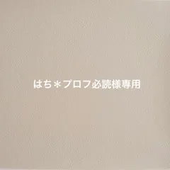 【はち＊プロフ必読様専用】フリルスタイA.Bセット