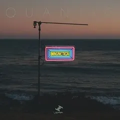 2026年最新】Quantic レコードの人気アイテム - メルカリ