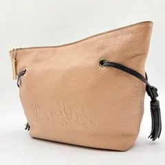 【美品】COACH y2k andycrossbody leather shoulder shoulderbag コーチ アンディクロスボディレザーシグネチャーショルダーバッグ 紐なし