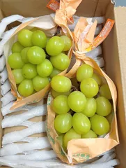 2026年最新】果物 シャインマスカットの人気アイテム - メルカリ