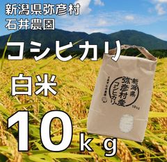 定番☆美味 令和7年兵庫県産 キヌムスメ 湧き水育ち 農家直送 10kg