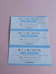 ネコポス発送！リトルワールド　日本モンキーパーク　南知多ビーチランド　南知多おもちゃ王国　株主優待　招待券　３枚　３名様分①