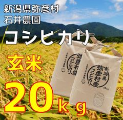 ひじき様専用 精米コシヒカリ 20kg - メルカリ