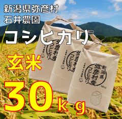 令和7年 鳥取県産 コシヒカリ 30kg - メルカリ