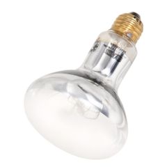 Item thumbnail for item e0feef1a-3eb9-460a-845d-d3681482ce37