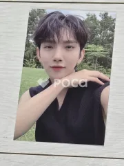 Seventeen ジョシュア セブチ Attacca 公開放送 サノク トレカ