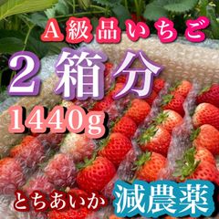 4KG 新鮮いちご 朝採り 箱入り B品 ジャム 加工 とちあいか ② - メルカリ