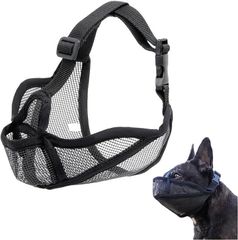 Item thumbnail for item f098afd7-17c1-4353-a82c-e750565732bf