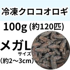 冷凍餌】 冷凍デュビア Mixサイズ 50g (約100匹入り) 爬虫類 両生類