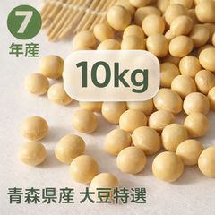 大豆 2025年産 長野県産 薬品磨き不使用 惣菜 加工用 少し訳あり10kg
