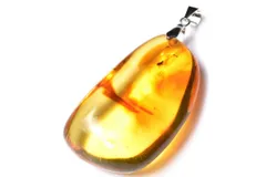 【１点物】シルバー925◇ロシア産 虫入り琥珀アンバー　36x23mm　オーバル ペンダントトップ パワーストーン 天然石 _PC9627