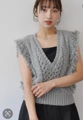 ラスト1点⭐︎ フリンジニットベスト gray