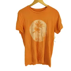 デニムアンドサプライ ラルフローレン DENIM & SUPPLY RALPH LAUREN ヤシの木プリント 半袖カットソー メンズ import：M 