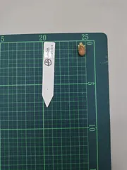 2026年最新】野生蘭の人気アイテム - メルカリ