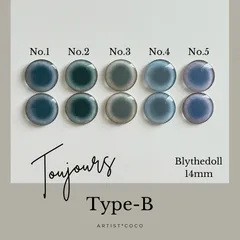 【Type-B】　ブライスアイ　ブライスアイチップ