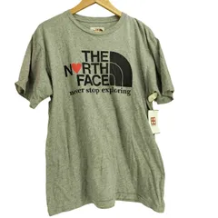ザノースフェイス THE NORTH FACE Graphic Tee グラフィック 半袖 Tシャツ メンズ import：L 