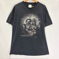 90s アインシュタイン Tシャツ シングルステッチ フェード XL アート