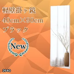 #2640 割れない 壁掛け 鏡 フィルム ミラー ブラック 全身 姿見 幅40cmx高さ90cm 軽量 鮮明な映り 壁掛け用ロープ付 滑り止めゴム脚 専用クリーナークロス付 ※一部地域離島別途配送料有