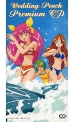 非売品】ウェディングピーチ プレミアムCD 限定 美品 - メルカリ