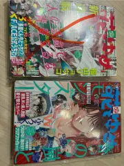 花とゆめ 雑誌 まとめ売り タモン君 今 どちら？ 春の 嵐 MONSTER 背