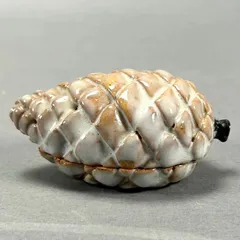 2026年最新】香合の人気アイテム - メルカリ