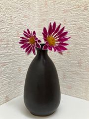 OLD IKEA LAKENE ペンダントライト 100.768.05 【ヴィンテージ】【廃盤