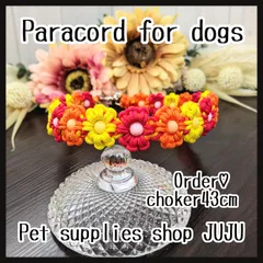 テギ様専用ページ