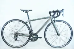 2026年最新】bianchi feniceの人気アイテム - メルカリ