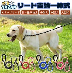 犬リード スリップリード リード首輪セット リード首輪一体式 ハーフチョーク ハーフチョーカー ロープ 首輪 おしゃれ かわいい カラフル 中型犬リード 小型犬リード 大型犬リード 中型犬首輪 大型犬首輪 小型犬首輪のサムネイル