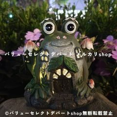 ようこさま専用 センペルビウム - メルカリ