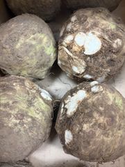宮崎県産 里芋 土付き 小粒 10k - メルカリ
