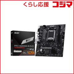 MSIマザーボードPROB760M-GDDR4 玄人志向 600W 80plus - メルカリ