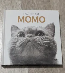 あくねこ クリーム Xdinary Heroes 写真集 モモ 回顧録