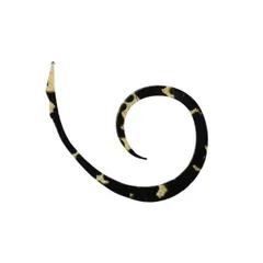 jackall ジャッカル JK ビンビンスイッチT+ネクタイマイクロカーリースリム ＃ブラックゴールド