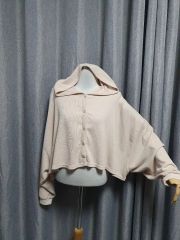 SHINee（シャイニー）応援棒 シャチュール シャセイバー シャーベット